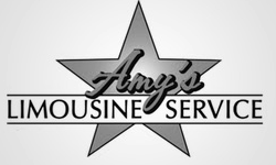 Amys Limousine Service