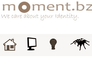 Website design and develoopment for Moment by Anthony White
