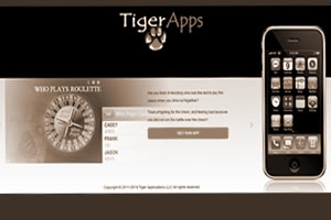 Website design and develoopment for Tiger Applications